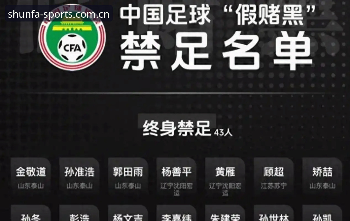 足协第三批禁足名单深度解析：从案例看体育诚信的实用指南